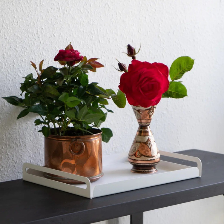 سینی فلزی مدل مینیمال دستهدار